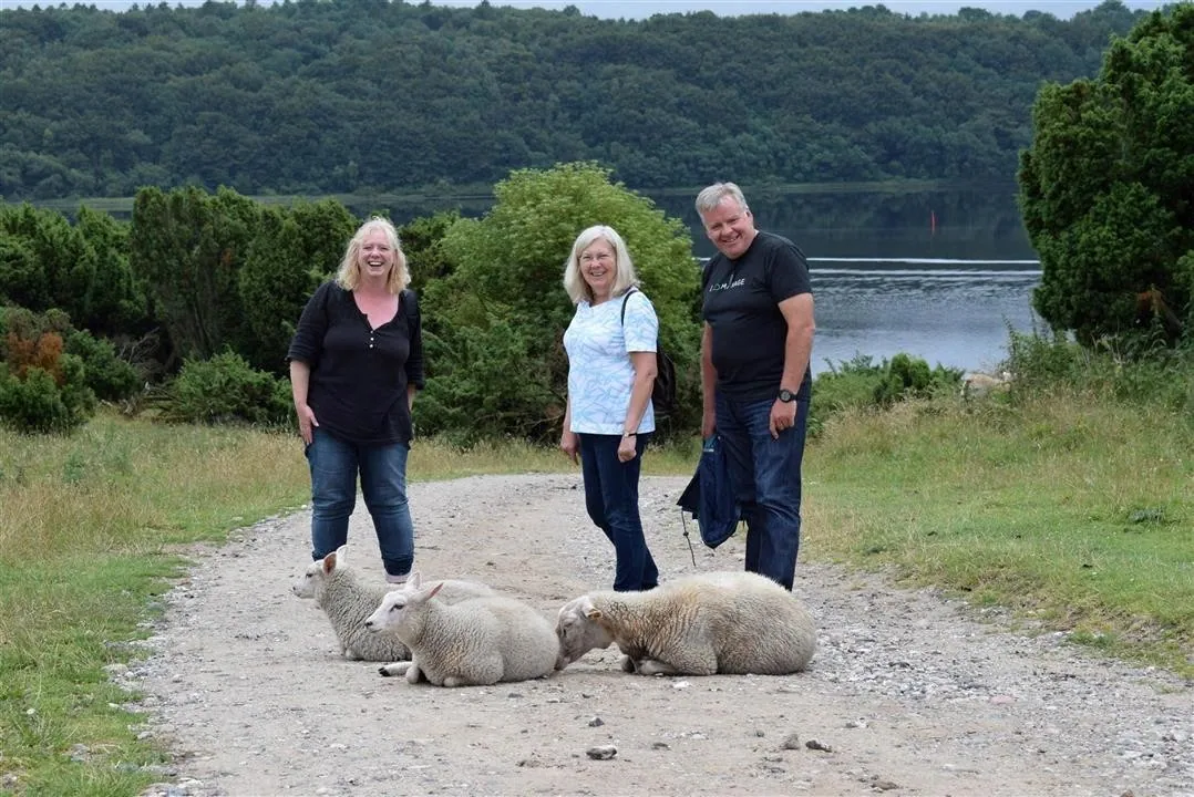 G21.5  bramslev bakker to hobro walk along mariager fjord (6)